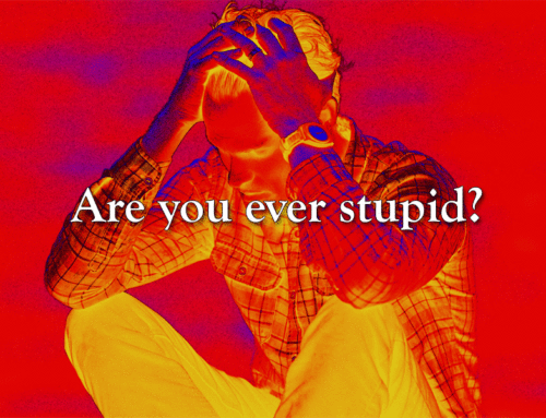 Are you ever stupid?
